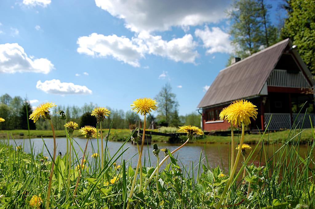 Gasthaus Rehe Turismitalu Kuijõe Exterior foto