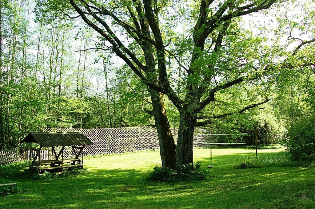 Gasthaus Rehe Turismitalu Kuijõe Exterior foto